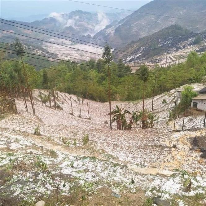 Mưa đá trắng xóa bao phủ tại huyện Mèo Vạc (Hà Giang). Ảnh: TTXVN phát