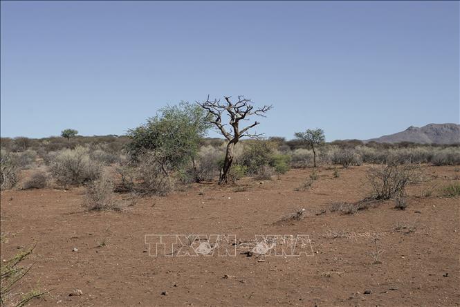 Đất đai khô cằn do hạn hán tại Windhoek, Namibia. Ảnh: AFP/TTXVN