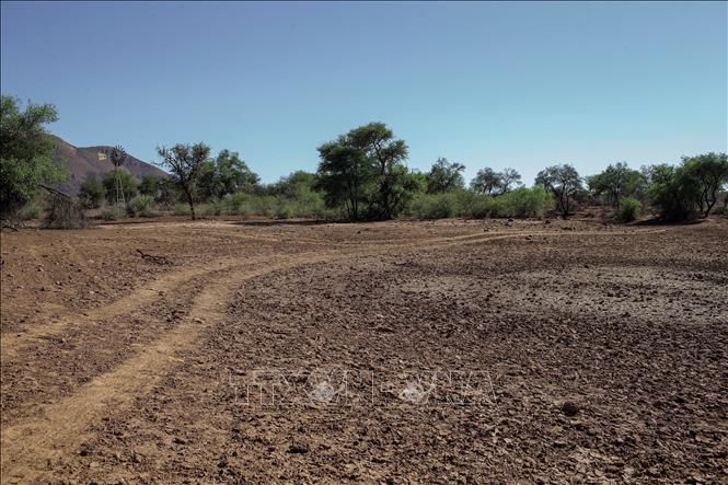 Đất đai khô cằn do hạn hán tại Windhoek, Namibia. Ảnh: AFP/TTXVN