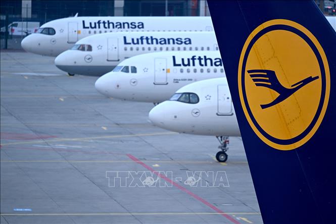 Máy bay của hãng hàng không Lufthansa tại sân bay Frankfurt, Đức ngày 7/3/2024. Ảnh: AFP/TTXVN