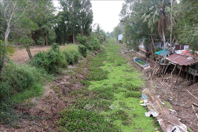 Nhiều kênh, rạch trên địa bàn xã An Minh Bắc, huyện U Minh Thượng (Kiên Giang) khô cạn nước. Ảnh: Lê Huy Hải - TTXVN