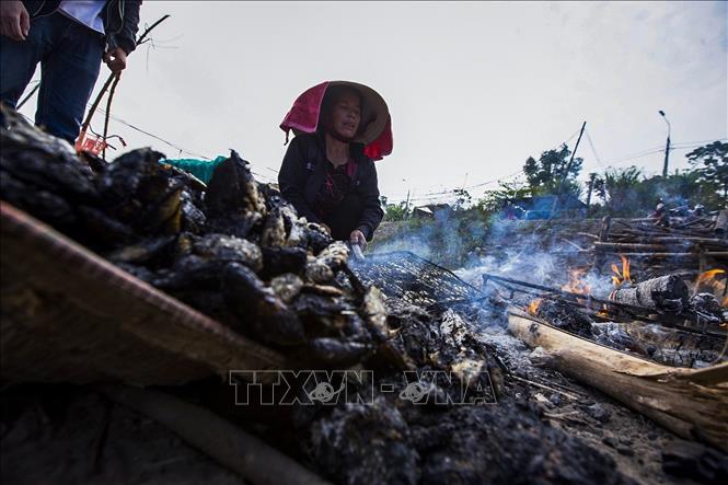 Người dân nướng những con cá nhỏ làm mồi cho những buổi chài lưới đánh bắt cá đêm. Ảnh: Trọng Đạt-TTXVN