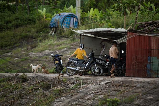 Những căn nhà bằng mái tôn được người dân nơi đây dựng trên đê là nơi để xe và một vài đồ vật hàng ngày. Ảnh: Trọng Đạt-TTXVN