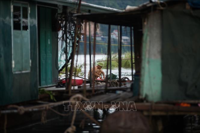 Cuộc sống người dân nơi đây quanh năm chủ yếu gắn với nghề chài lưới, nuôi thủy sản. Ảnh: Trọng Đạt-TTXVN