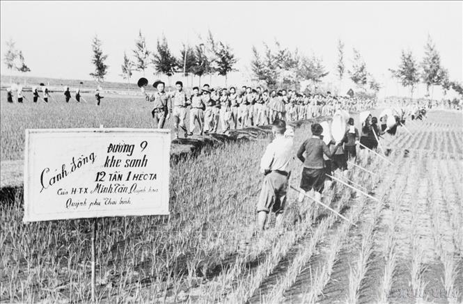 Thanh niên Quỳnh Phụ (Thái Bình) vừa lên đường ra mặt trận, vừa tích cực thi đua, tham gia sản xuất, hưởng ứng phong trào Ba sẵn sàng. Ảnh: TTXVN