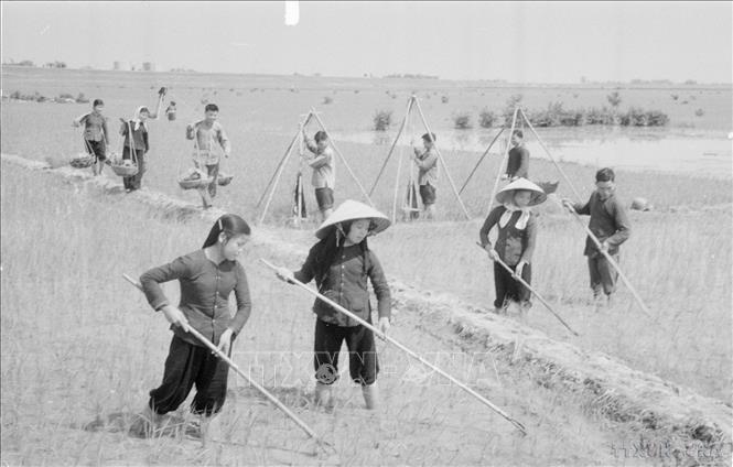 Hưởng ứng cuộc thi đua 