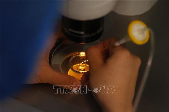 Quá trình nạp phôi vào đĩa để sinh thiết. Ảnh: Minh Quyết – TTXVN