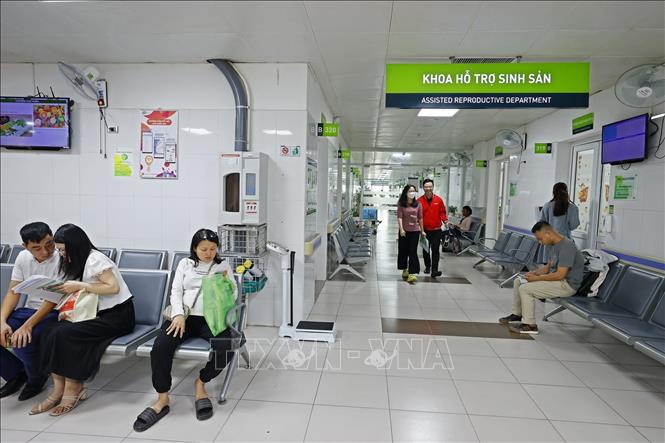Phương pháp thụ tinh ống nghiệm (IVF) đã mang niềm hạnh phúc cho các cặp vợ chồng vô sinh, hiếm muộn. Ảnh: Minh Quyết – TTXVN