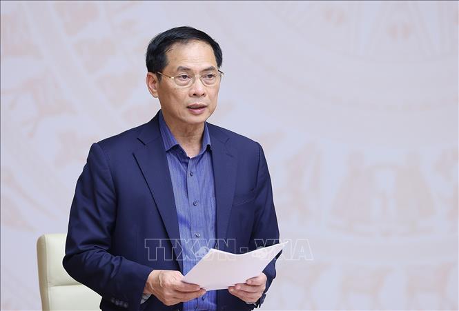 Bộ trưởng Bộ Ngoại giao Bùi Thanh Sơn báo cáo kết quả triển khai công tác ngoại giao kinh tế. Ảnh: Dương Giang-TTXVN