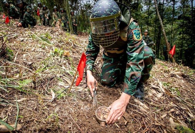 Cán bộ, chiến sĩ đội rà phá bom, mìn của Công ty xử lý bom mìn, vật nổ 319 (Bộ Quốc phòng) xử lý mìn chống bộ binh K58 với vỏ bằng nhựa, bán kính sát thương 1,5m (Hà Giang, 2023). Ảnh: Hoàng Hiếu - TTXVN