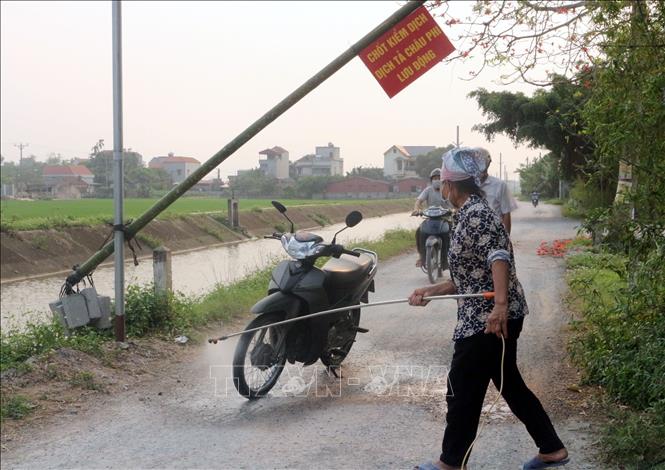 Phun hóa chất khử trùng các phương tiện qua chốt kiểm dịch tại xã Yên Nam, thị xã Duy Tiên. Ảnh: Nguyễn Chinh - TTXVN