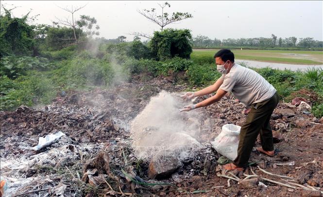 Rắc vôi bột khử trùng hố tiêu hủy lợn mắc dịch tả lợn châu Phi tại xã Yên Nam, thị xã Duy Tiên. Ảnh: Nguyễn Chinh - TTXVN
