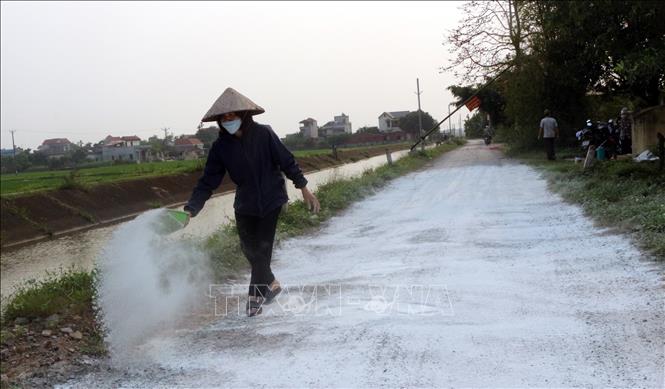 Nhân viên thú y xã Yên Nam rắc vôi bột khử trùng xung quanh khu vực ổ dịch tả lợn châu Phi. Ảnh: Nguyễn Chinh - TTXVN