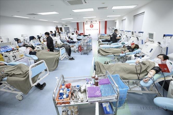 Khu vực hiến tiểu cầu tại Viện Huyết học - Truyền máu Trung ương. Ảnh: Minh Quyết-TTXVN)