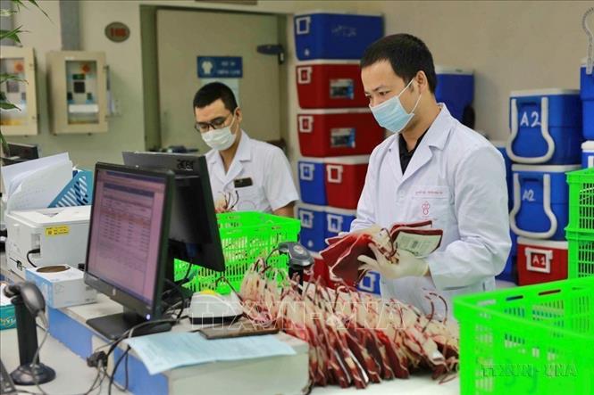 Hoạt động tại kho dự trữ máu, Viện Huyết học - Truyền máu Trung ương. Ảnh: TTXVN phát