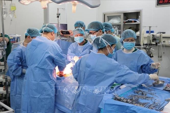Ca lấy - ghép tạng là sự phối hợp nhịp nhàng của các Bệnh viện. Ảnh: TTXVN phát