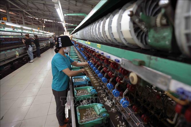 The silk spinning production chain at HuaLong Company Ltd in Lam Ha district, Lam Dong province. VNA Photo: Vũ Sinh