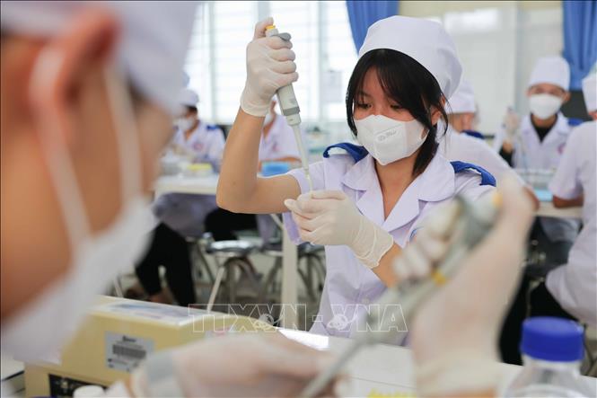 Kỳ tuyển sinh ăm 2024 sắp tới, nhà trường tuyển trong cả nước hệ Cao đẳng chính quy với 350 chỉ tiêu ngành Kỹ thuật xét nghiệm Y học và 150 chỉ tiêu ngành Điều dưỡng theo hình thức xét tuyển. Ảnh: Thanh Tùng - TTXVN 