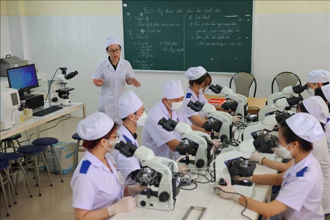 Theo Nghị định 81/2021–NĐCP và theo Thông tư 05/2023 của Bộ Lao động - Thương binh và Xã hội, xét nghiệm y học và điều dưỡng là hai ngành nằm trong danh mục ngành nghề được giảm học phí 70%. Ảnh: Thanh Tùng - TTXVN 