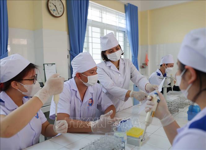 Tiết học môn xét nghiệm tại trường Cao đẳng Y tế Đặng Văn Ngữ. Ảnh: Thanh Tùng - TTXVN 