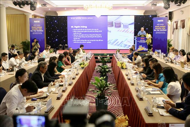 Quang cảnh hội thảo. Ảnh: Thanh Vũ - TTXVN 