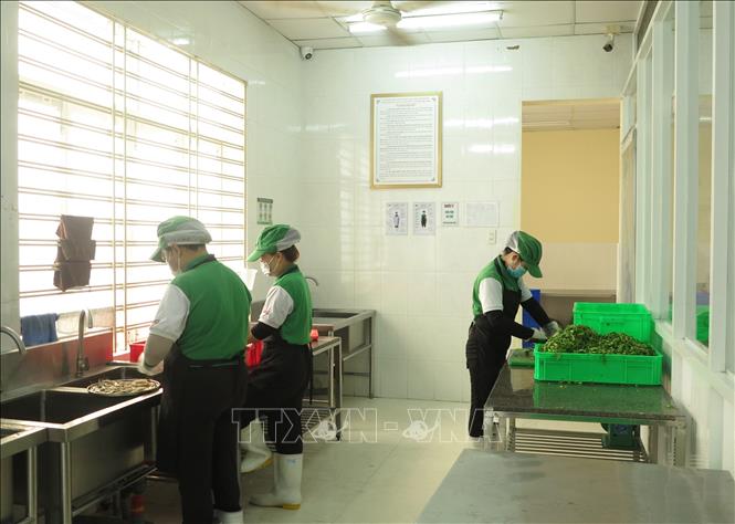 Bếp ăn bán trú của Trường Tiểu học Vĩnh Hiệp, thành phố Nha trang sáng 8/4 chuẩn bị suất cơm cho học sinh. Ảnh: Phan Sáu -TTXVN                        