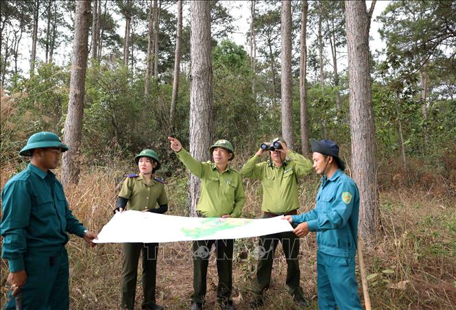 Lực lượng kiểm lâm phối hợp cùng với các lực lượng bảo vệ rừng huyện Lâm Hà tổ chức tuần tra bảo vệ rừng. Ảnh: Vũ Sinh - TTXVN