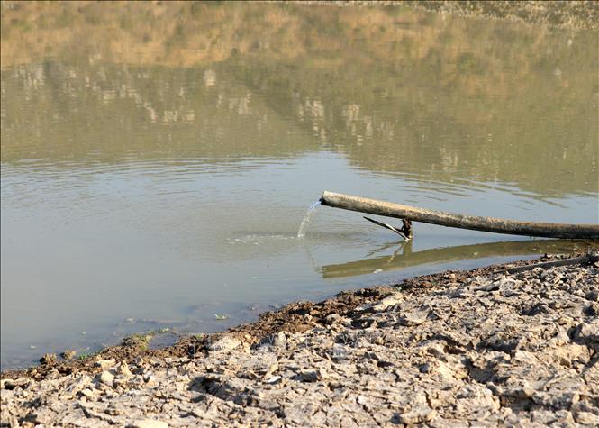 Nước được bơm từ giếng khoan lên để đưa về rẫy sản xuất trong mùa khô năm 2024 tại xã Nhơn Hải (huyện Ninh Hải, tỉnh Ninh Thuận). Ảnh: Nguyễn Thành – TTXVN