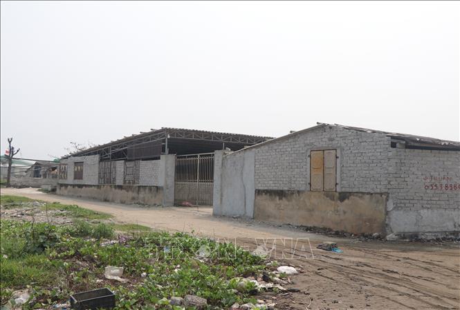 Một cơ sở chế biến sứa nằm ven bờ biển thuộc địa bàn xã Diễn Kim (huyện Diễn Châu, tỉnh Nghệ An). Ảnh: Xuân Tiến - TTXVN  