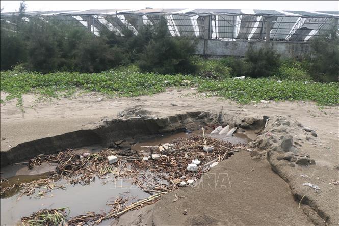 Khu vực xả thải chất bẩn, nước bẩn nằm ngay khu vực hành lang của một cơ sở chế biến hải sản trên địa bàn xã Diễn Kim (huyện Diễn Châu, tỉnh Nghệ An). Ảnh: Xuân Tiến - TTXVN 