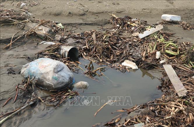 Ống xả thải nước bẩn, chất bẩn trực tiếp đổ ra bờ biển từ quá trình sơ chế hải sản. Ảnh: Xuân Tiến - TTXVN 