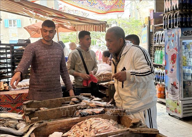 Người dân Ai Cập mua cá chuẩn bị cho lễ Eid Al-Fitr tại một khu chợ truyền thống. Ảnh: Nguyễn Trường PV TTXVN tại Ai Cập
