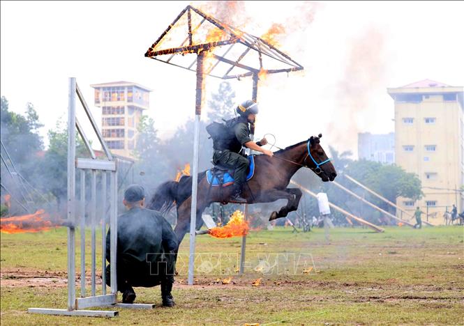 Huấn luyện ngựa vượt chướng ngại vật là bài tập đòi hỏi cả người và ngựa là một. Ảnh: Phạm Kiên - TTXVN