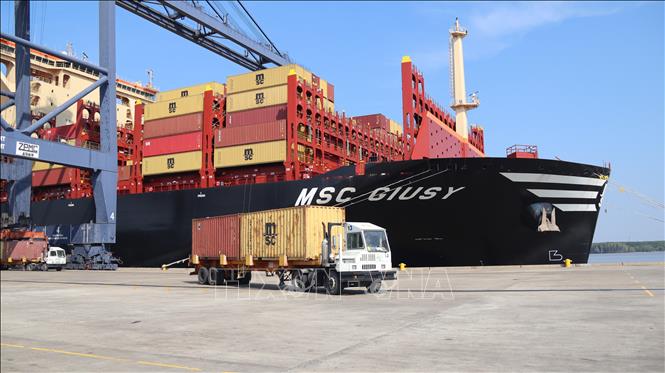 Việc đưa chuyến tàu Tàu MSC Giusy vào cảng SSIT là cần thiết và cấp bách, nhằm phục vụ xuất khẩu hàng gạo từ Việt Nam đi Châu Phi. Ảnh: Huỳnh Sơn - TTXVN