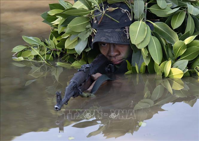 Ngụy trang phục kích dưới nước là một bài tập khắc nghiệt, dù mực nước lên xuống thất thường, thường xuyên có gió to, lạnh nhưng các chiến sĩ CSCĐ chống khủng bố đều phải giữ nguyên vị trí, đội hình chiến đấu. Ảnh: Phạm Kiên - TTXVN