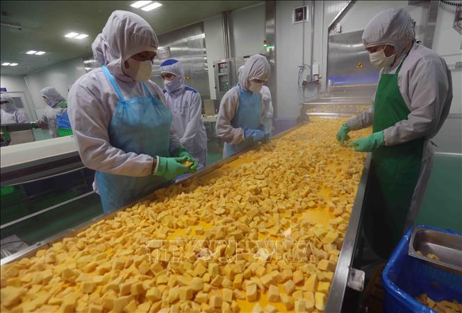 Workers on the frozen food production line at B’LaoFood Company Ltd. VNA Photo: Vũ Sinh