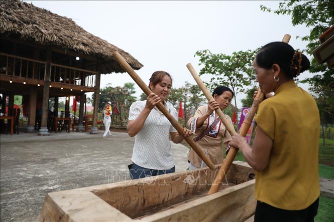 Performing rice pounding dances in a cultural camp of 13 urban districts in the Phu Bung Hill area of Hung Temple historical relic site. VNA Photo: Tạ Toàn 