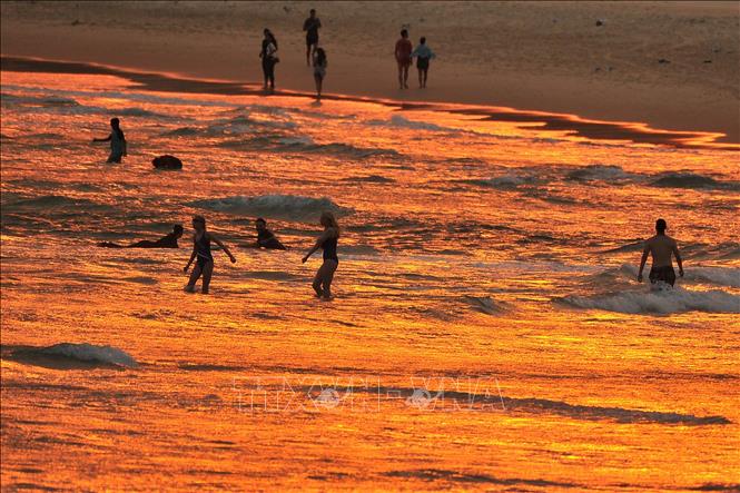 Người dân tắm biển tránh nóng tại bãi biển Bondi ở Sydney, Australia. Ảnh: AFP/TTXVN
