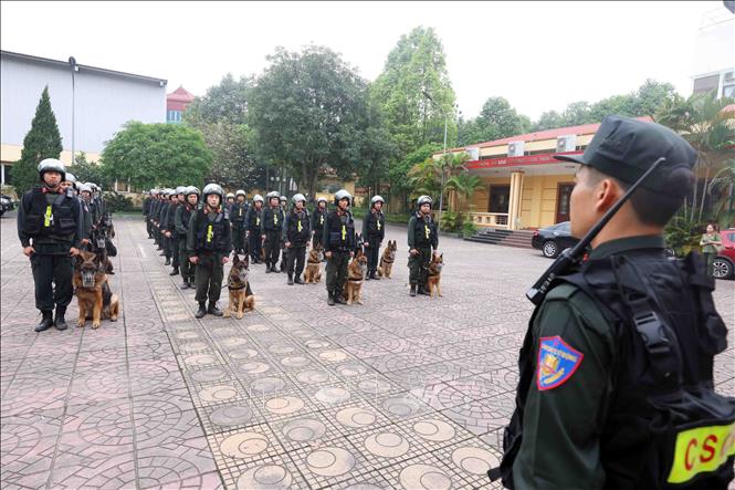 Công tác huấn luyện, sử dụng động vật nghiệp vụ là nhiệm vụ chính trị quan trọng, bất kể nắng mưa, các huấn luyện viên và những “học trò” của mình luôn sát cánh bên nhau. Ảnh: Phạm Kiên - TTXVN