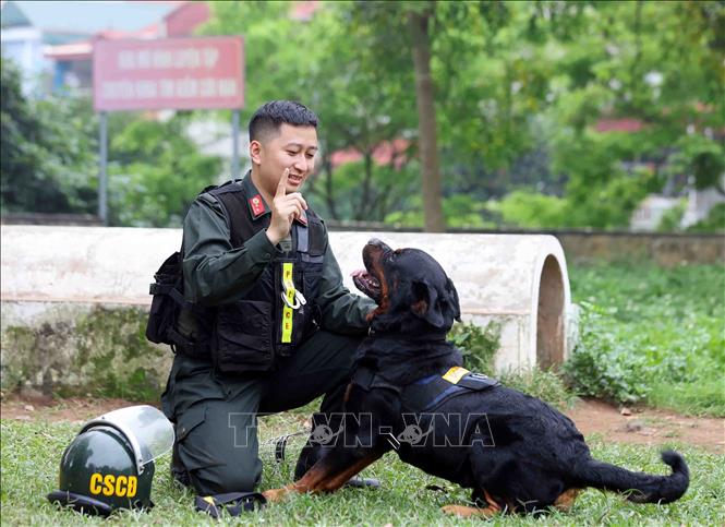 Trung uý Trần Hồng Duy, cán bộ Đội sử dụng động vật nghiệp vụ cùng 