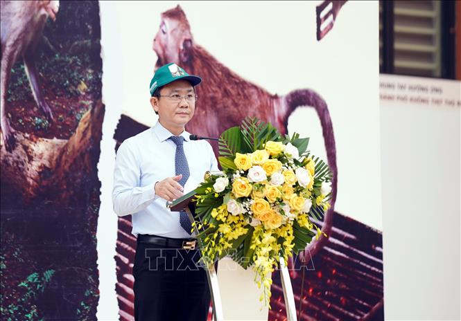 Vice Chairman of the provincial People's Committee Hoang Xuan Tan speaks at the event. VNA Photo: Tá Chuyên