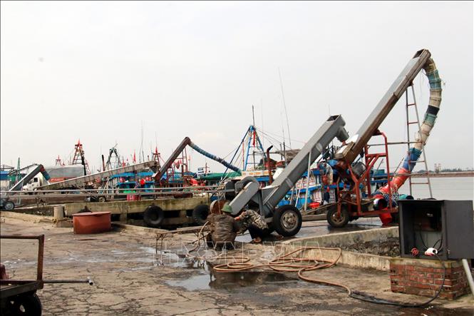 Khu dịch vụ hậu cần nghề cá cảng Ninh Cơ (Hải Hậu, Nam Định). Ảnh: Nguyễn Lành - TTXVN