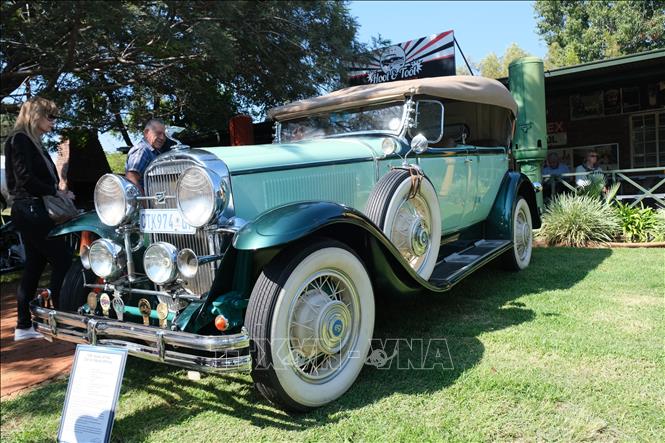 Chiếc Buick năm 1930 này rất đặc biệt vì đây là chiếc xe tay lái bên phải duy nhất trên thế giới. Ảnh: Hồng Minh - PV TTXVN tại Nam Phi 
