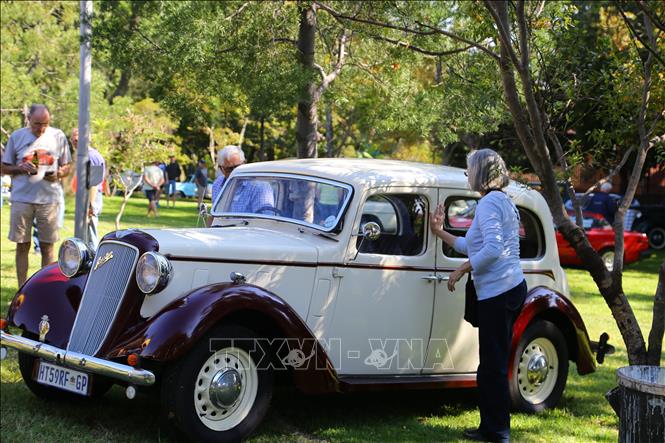 Khách tham quan khám phá một mẫu xe Austin sản xuất những năm 1930 tại buổi trưng bày. Ảnh: Hồng Minh - PV TTXVN tại Nam Phi 