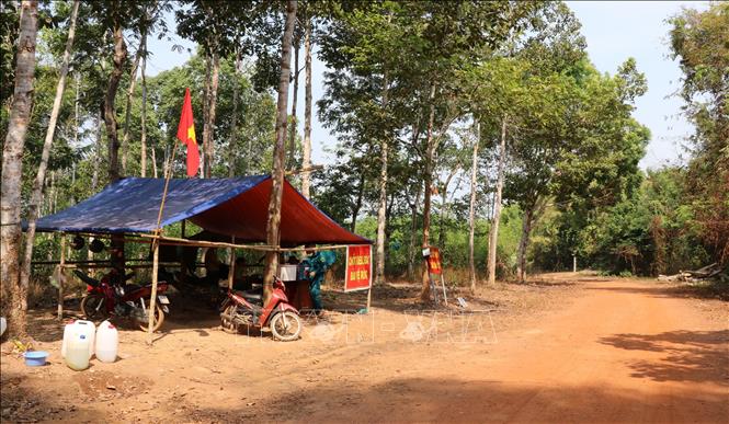 Một chốt bảo vệ rừng gồm nhiều lực lượng liên ngành đóng tại khu vực rừng Suối Kốp để phòng chống xâm nhập rừng, khai thác ươi trái phép. Ảnh: Sỹ Tuyên - TTXVN