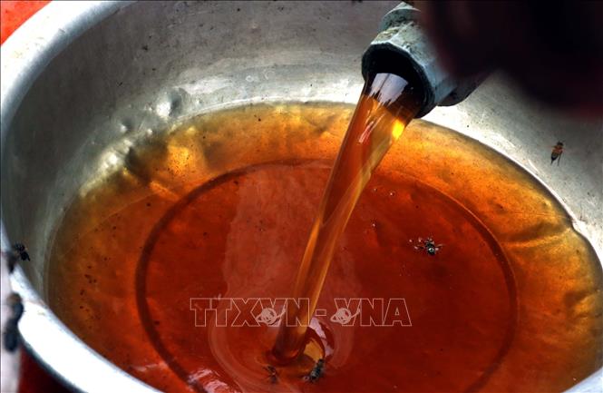 Longan honey has a distinct floral taste and thick consistency. VNA Photo: Đinh Văn Nhiều