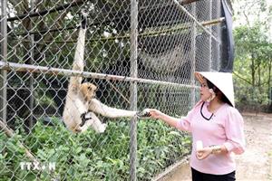 Kiên Giang does yeoman job of rescuing wild animals 
