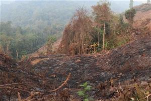 Điện Biên still facing extreme forest fire risk level