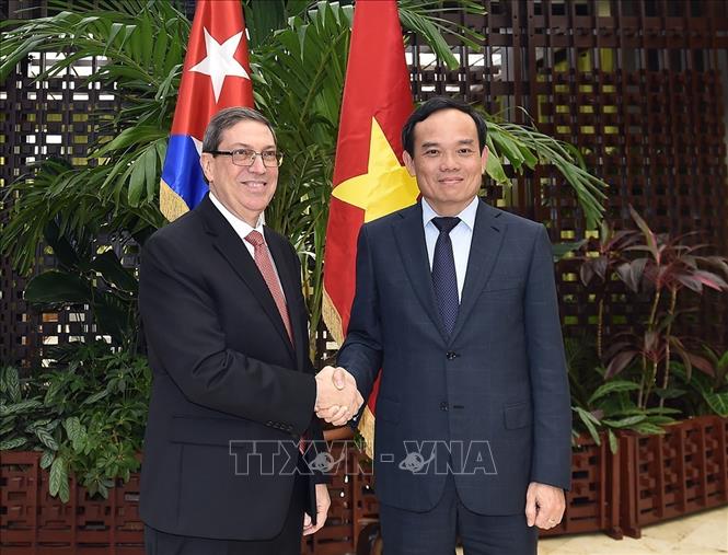 Phó Thủ tướng Trần Lưu Quang làm việc với đồng chí Bruno Rodriguez, Uỷ viên Bộ Chính trị, Bộ trưởng Ngoại giao Cuba. Ảnh: VGP/TTXVN phát