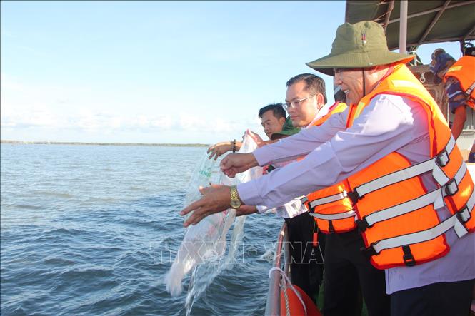 Lãnh đạo huyện Đông Hải và sở, ngành tỉnh Bạc Liêu cùng thả nguồn tôm giống tái tạo nguồn lợi thủy sản.